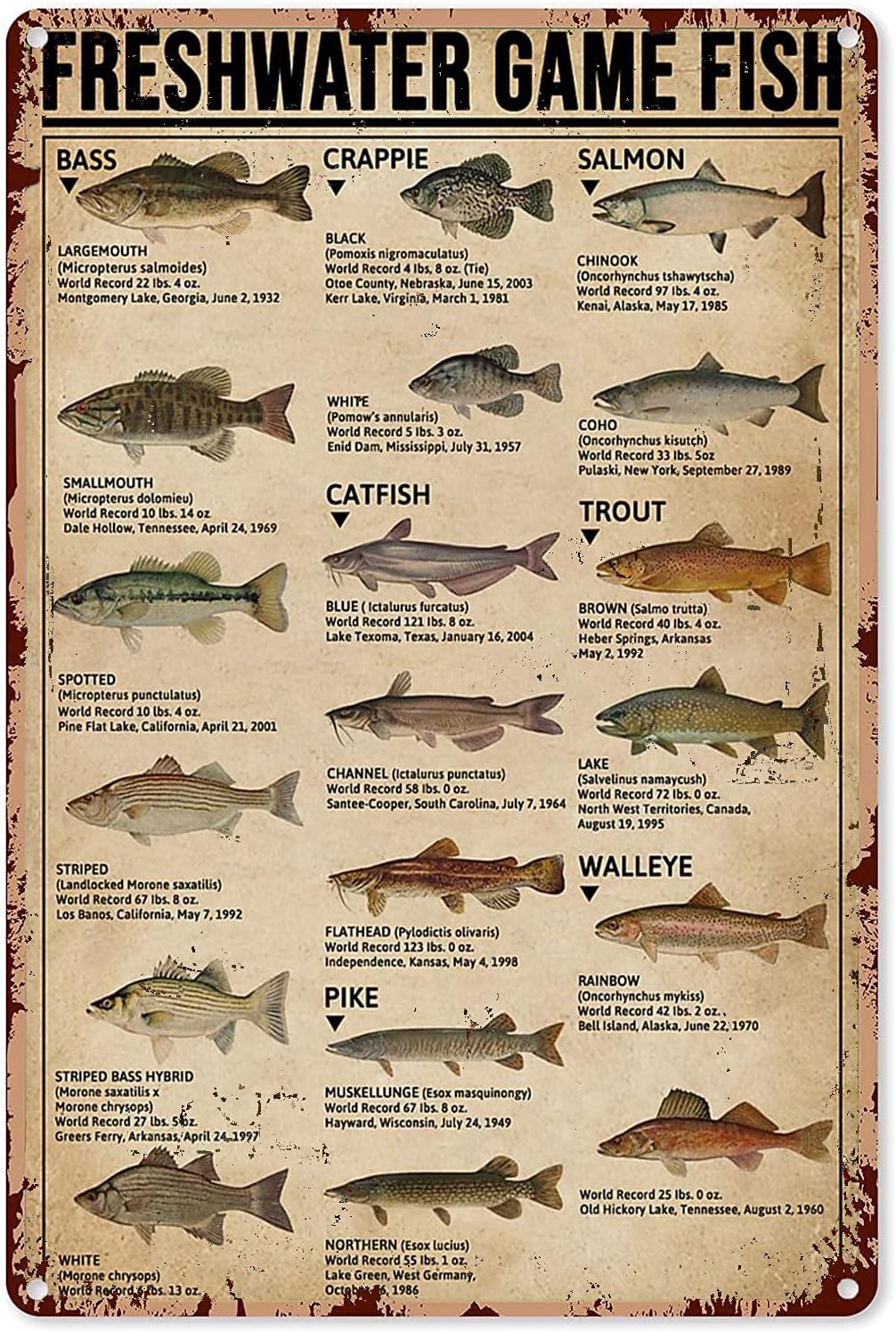 Y1,Fishing Art Posters Metal S - Home Decor Game 评论和价格