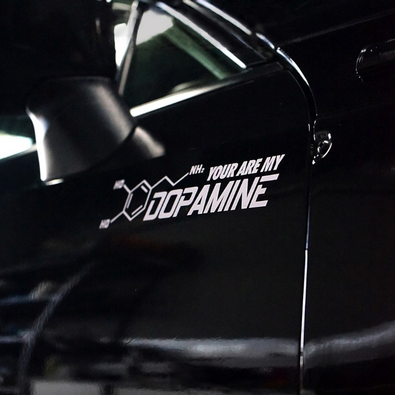 2pcs You Are My Dopamine Vinyl - Home Decor Dopamine 评论和价格