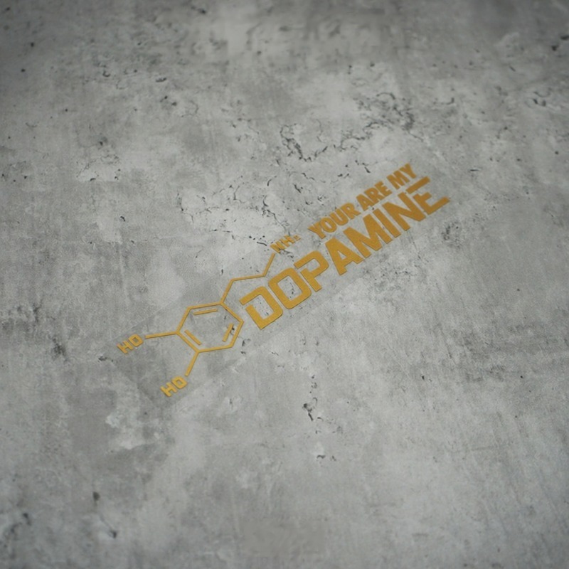 2pcs You Are My Dopamine Vinyl - Home Decor Dopamine 评论和价格