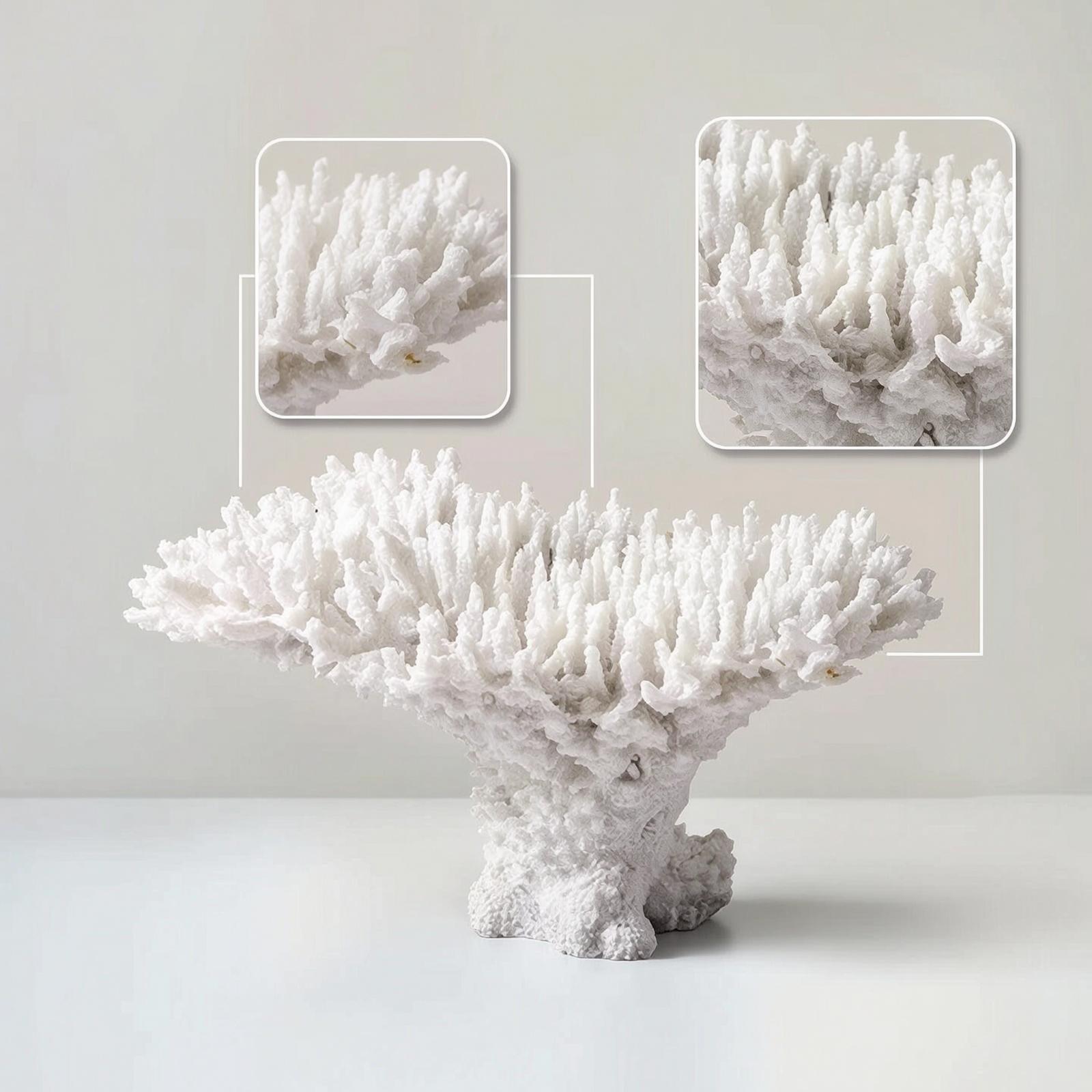 Coral Simulation Display Textu - Home Decor Simulator 评论和价格