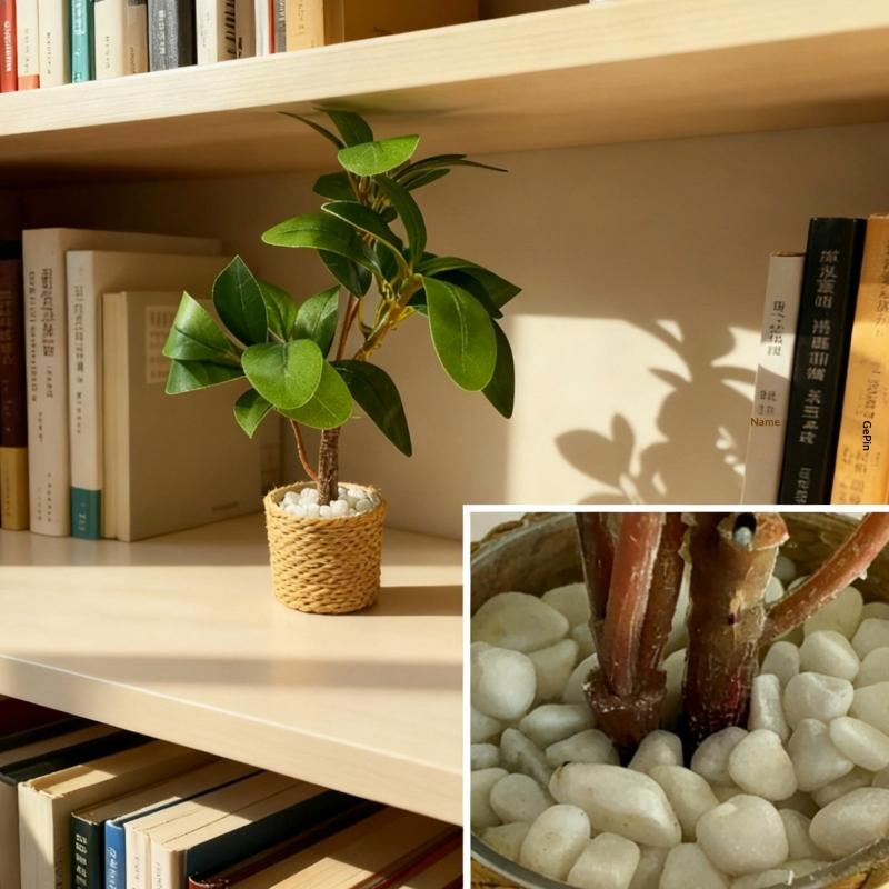 1/6 Dollhouse Simulation Green - Home Decor Simulator 评论和价格