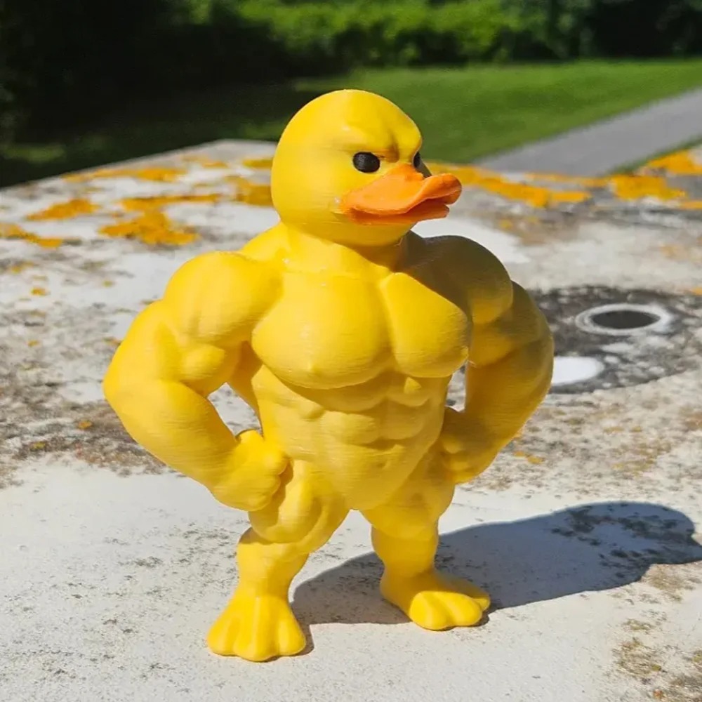Muscle Duck Statue -3D Desktop - Home Decor Duck 评论和价格