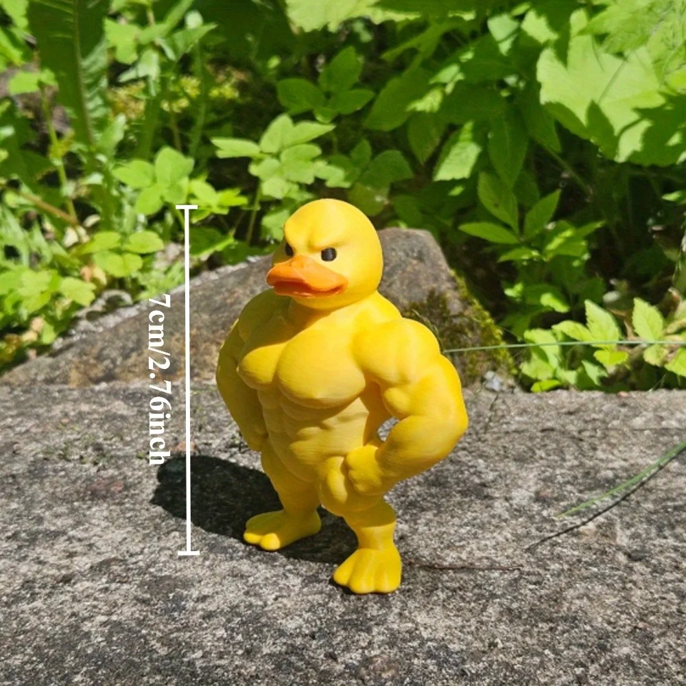 Muscle Duck Statue -3D Desktop - Home Decor Duck 评论和价格